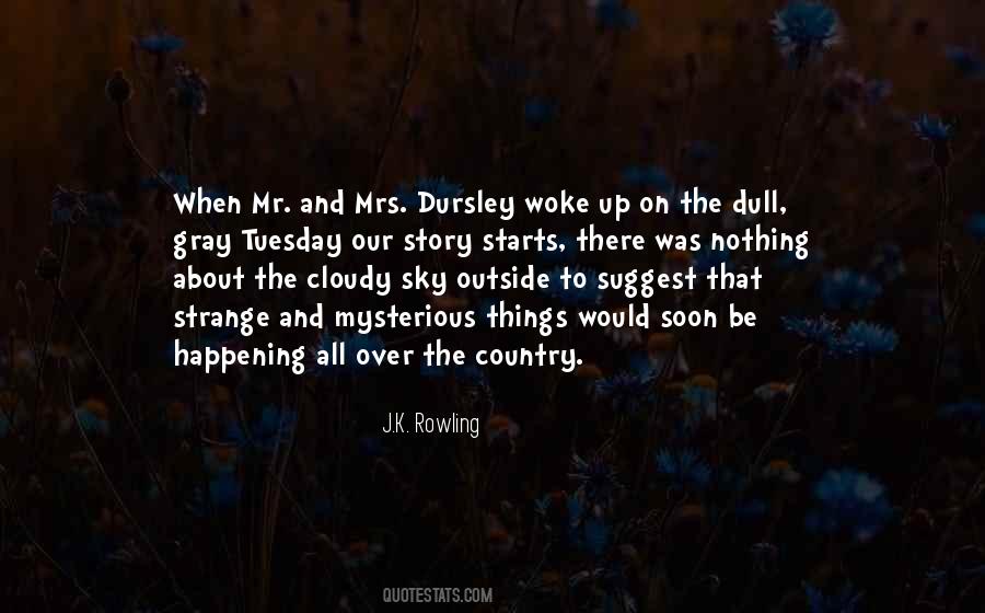Mr And Mrs Dursley Quotes #464069
