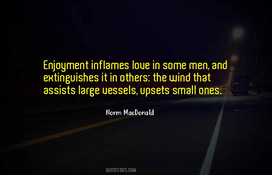 Love The Wind Quotes #118314