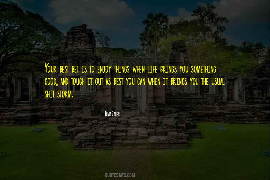 Enjoy The Storm Quotes #1721227