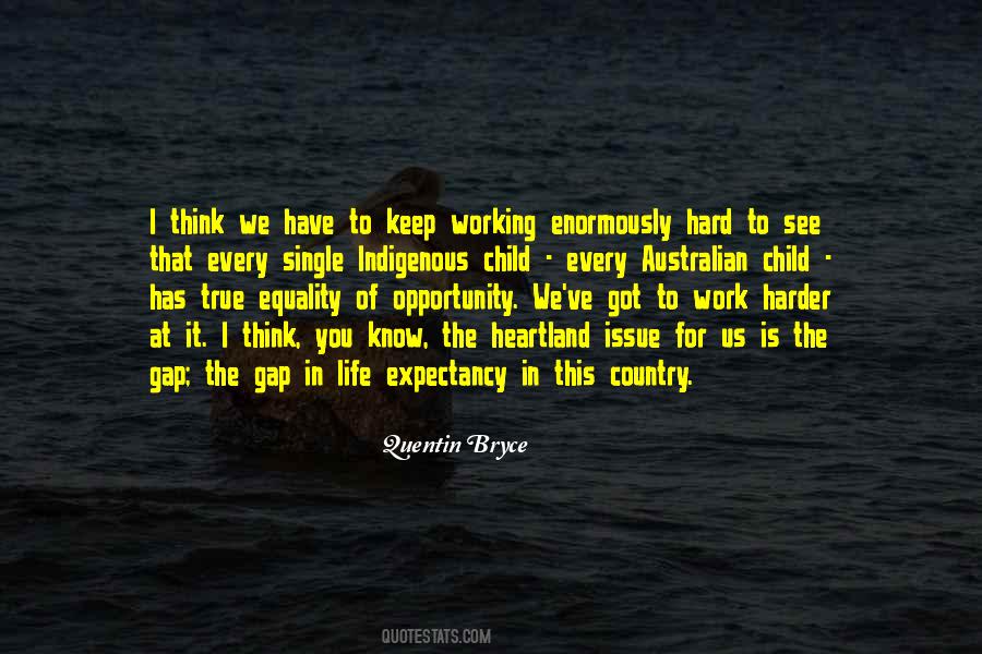 Hard Work Opportunity Quotes #1311026