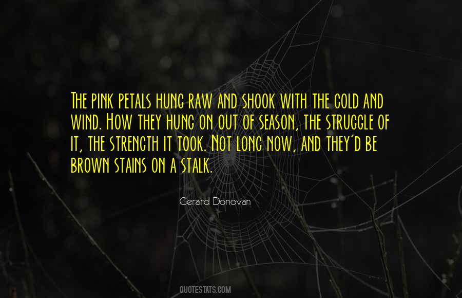 Pink Petals Quotes #1673312