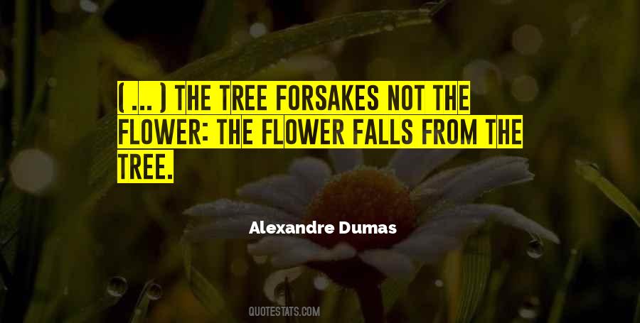 Dumas Alexandre Quotes #14553