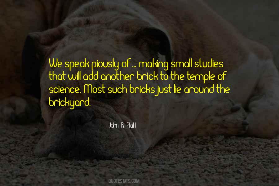 Small Lie Quotes #230204
