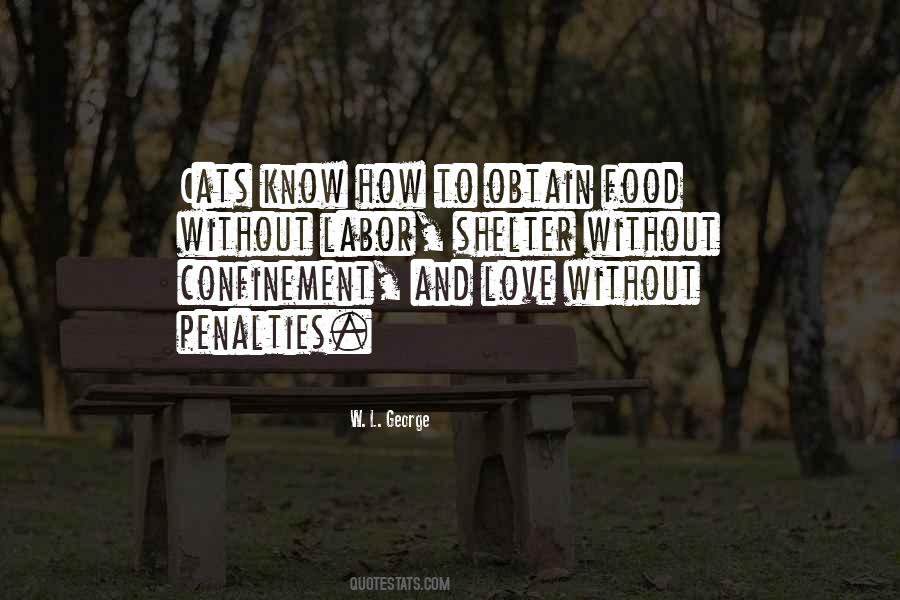 Love Cats Quotes #306045