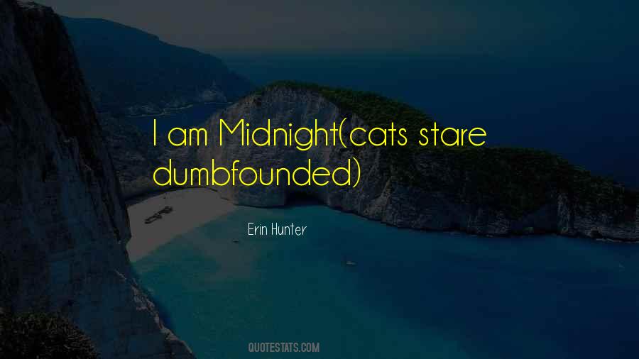 Dumbfounded Quotes #1379014