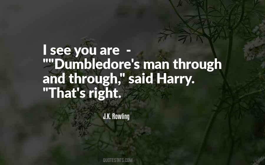 Dumbledore To Harry Potter Quotes #1874001