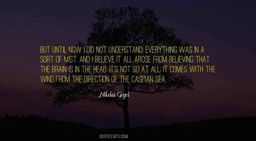 I Understand Everything Quotes #764190