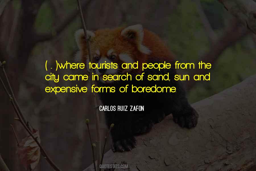In The Search Of Quotes #489716