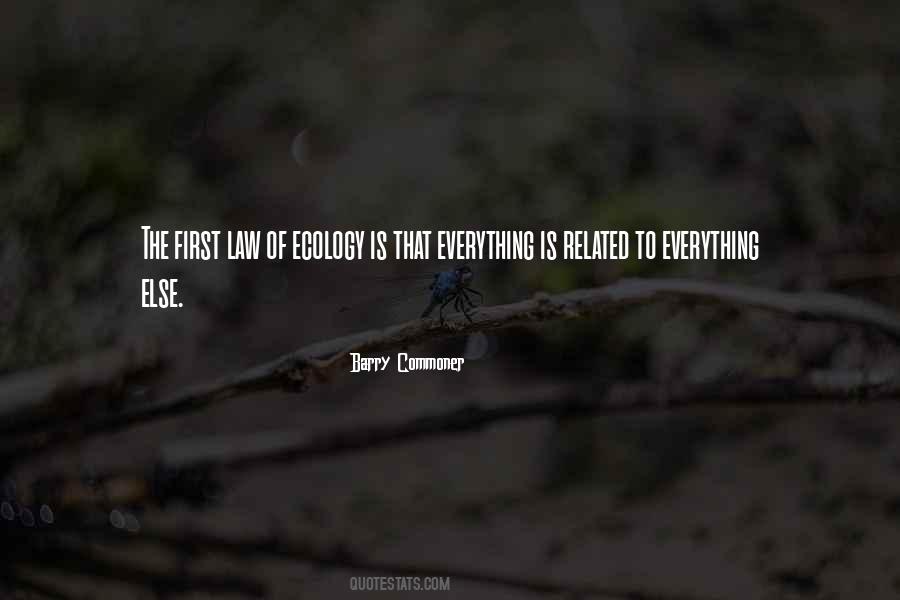 First Law Quotes #1084401