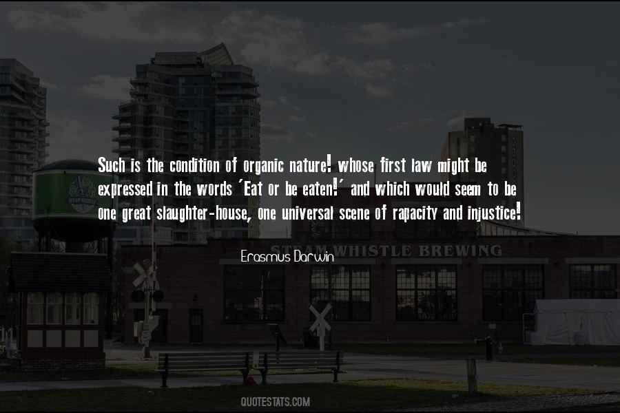 First Law Quotes #373825