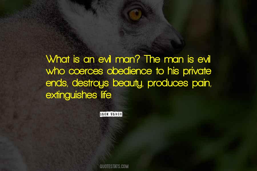 Beauty Is Life Quotes #999373