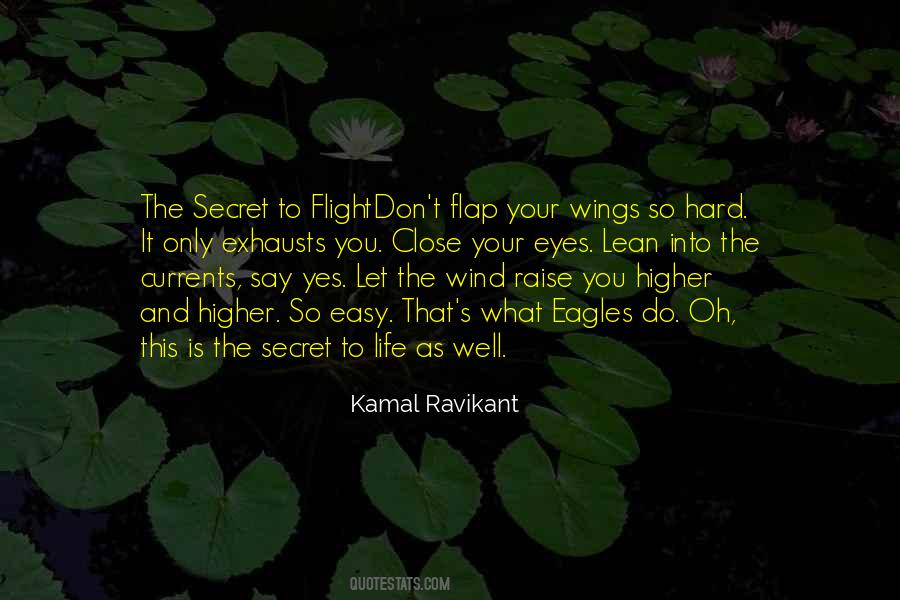 Flight Inspirational Quotes #1773221