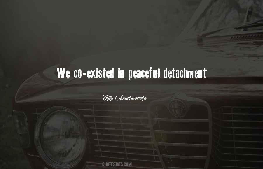 Quotes About Peaceful Relationships #1561994