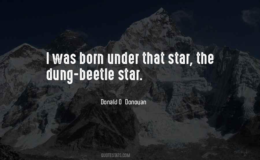 Dung Beetle Quotes #978362