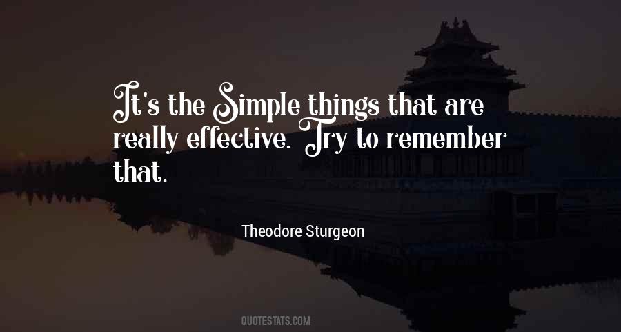 Remember The Simple Things Quotes #957722