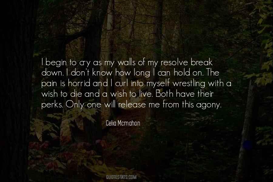 Break Down And Cry Quotes #405341