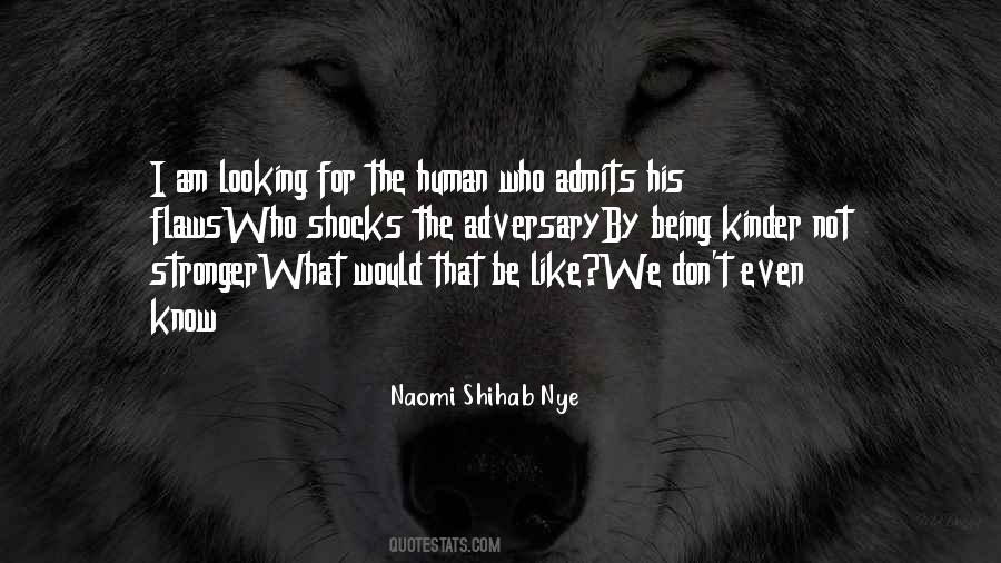 I Know My Flaws Quotes #114997