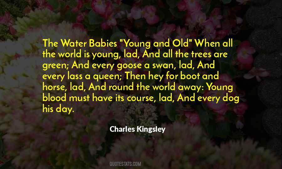 Baby Horse Quotes #1523513