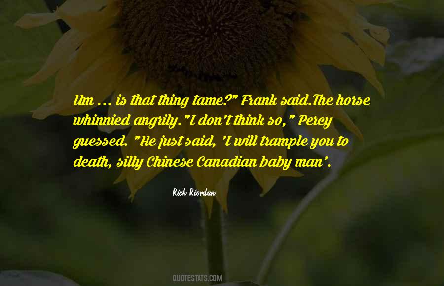 Baby Horse Quotes #954051