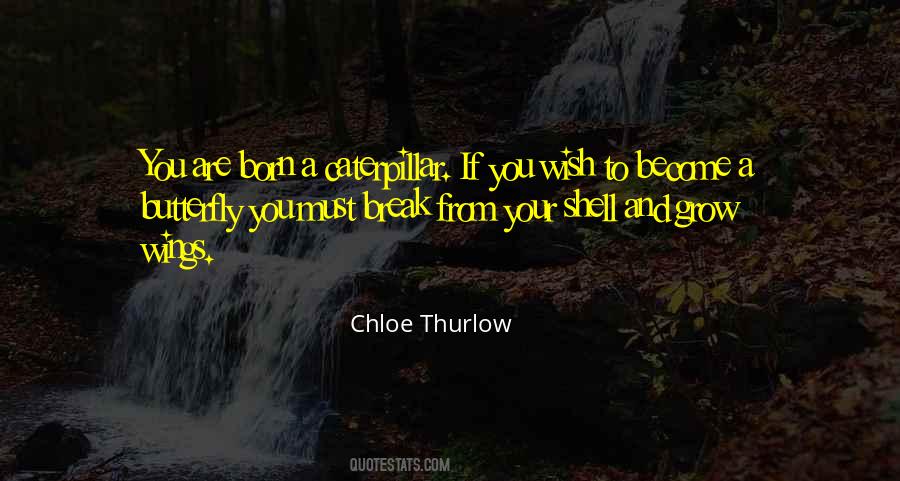 To Become A Butterfly Quotes #1331629