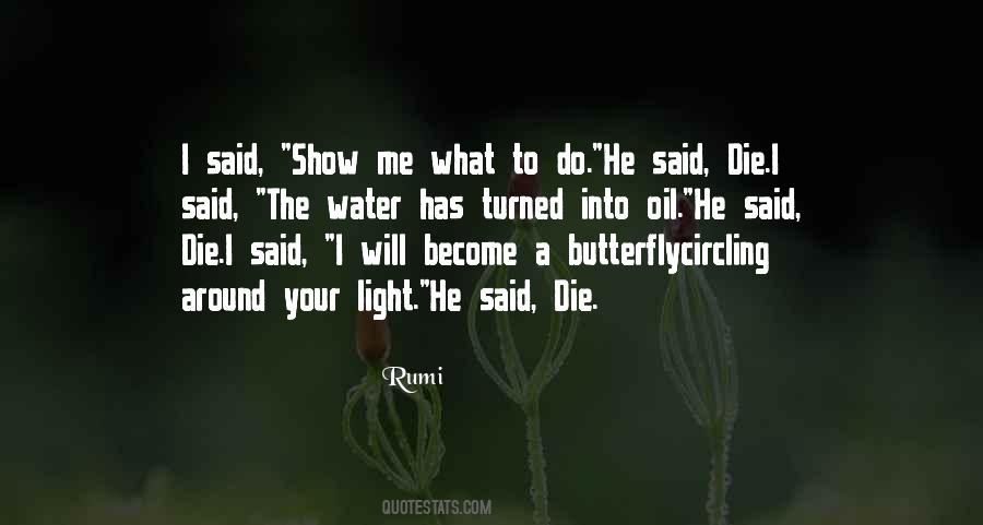 To Become A Butterfly Quotes #490452