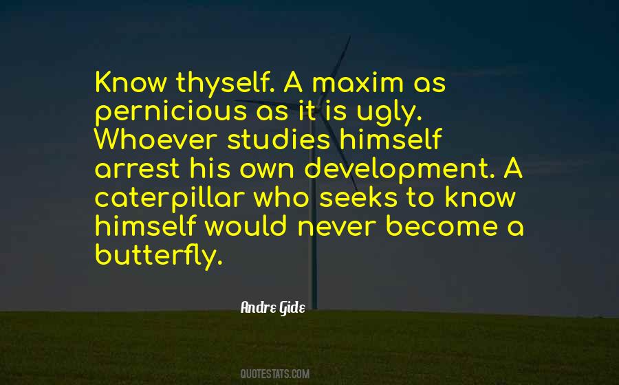 To Become A Butterfly Quotes #592289