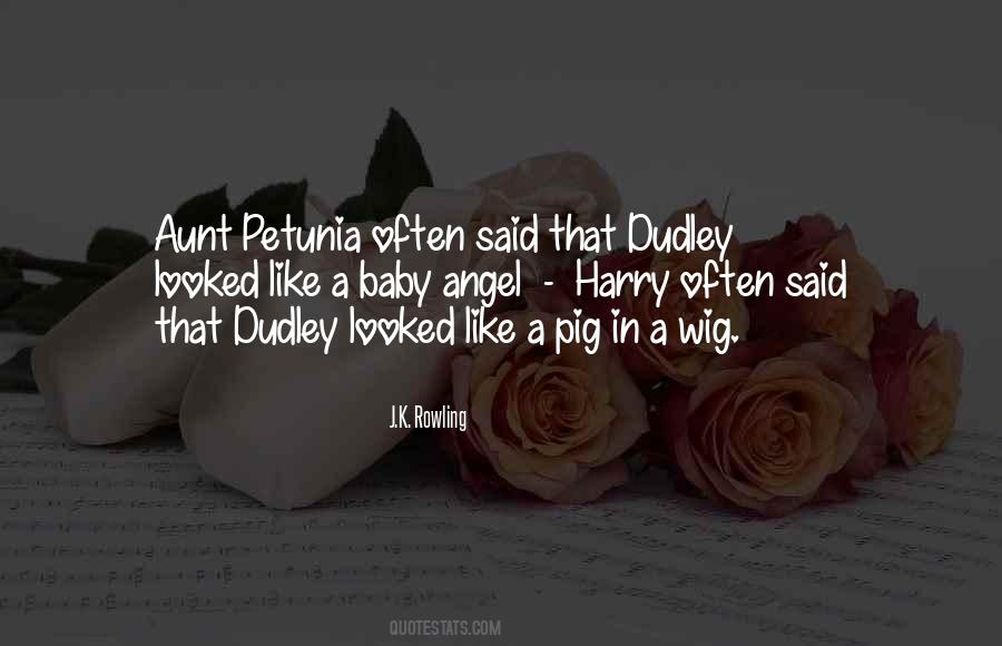 Dursley Quotes #1273350