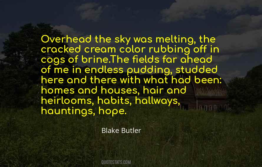 Hope Sky Quotes #1438268
