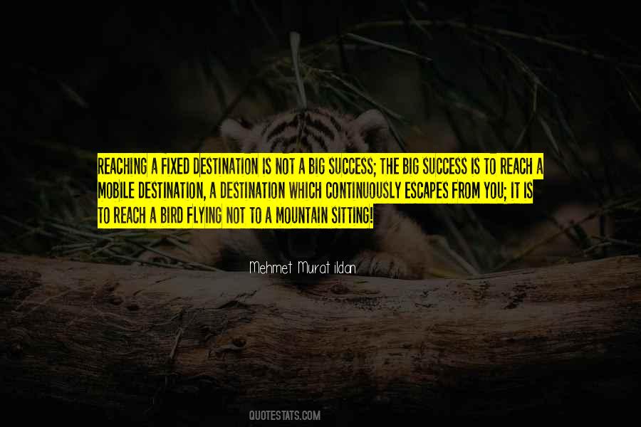 Success Mountain Quotes #1508408