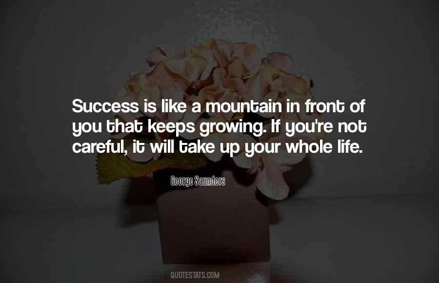 Success Mountain Quotes #621665