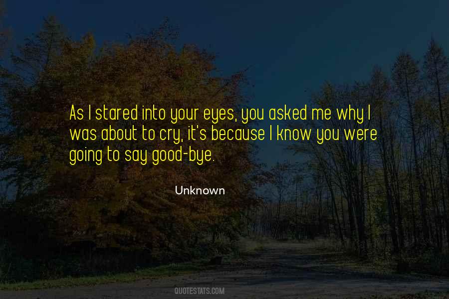 Into Your Eyes Quotes #1004651