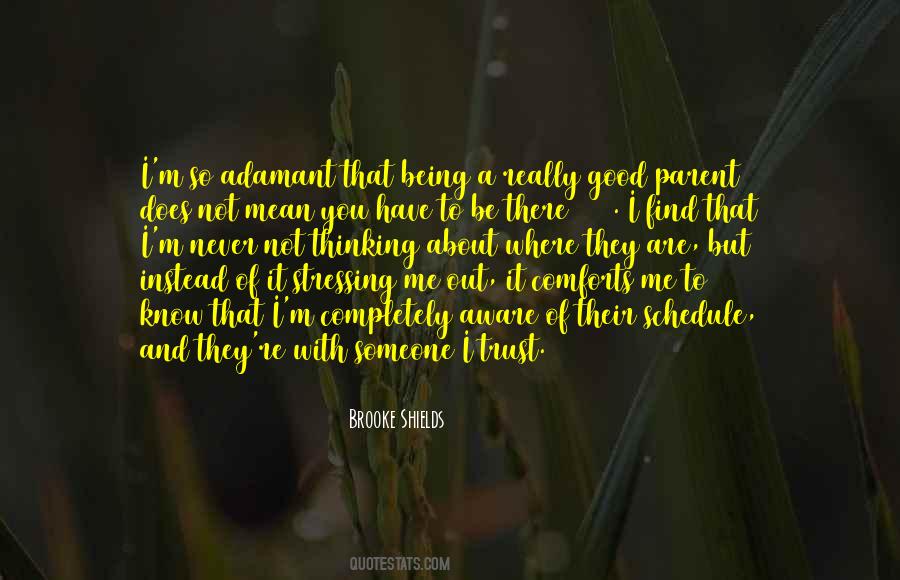 Quotes About Being Someone You Are Not #400372