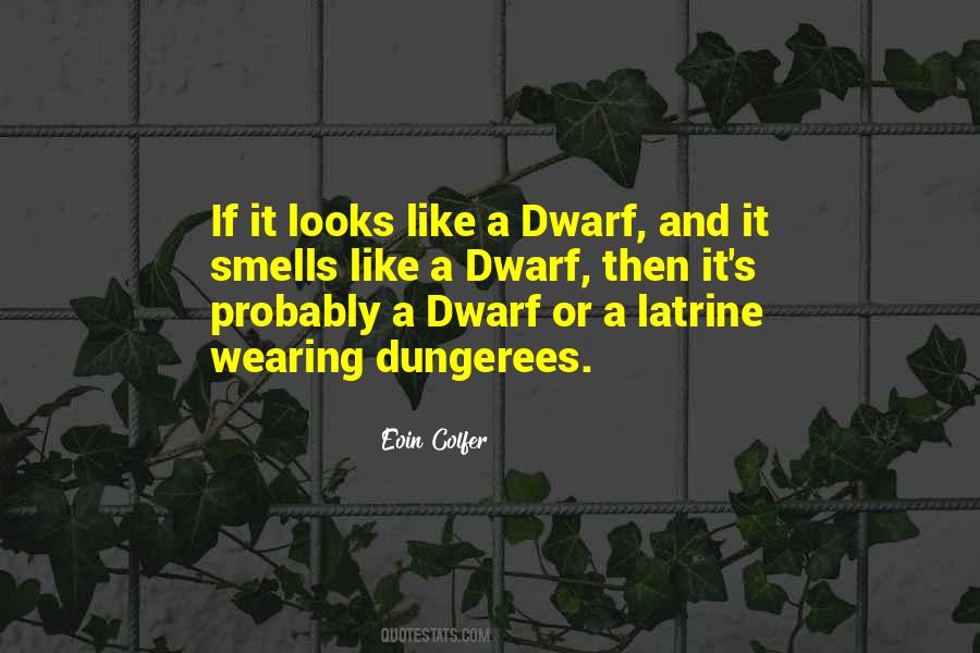 Dwarf Quotes #569280