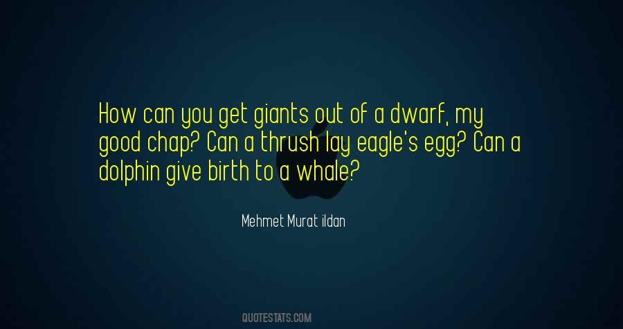 Dwarf Quotes #733756 Dwarf Quotes #733756