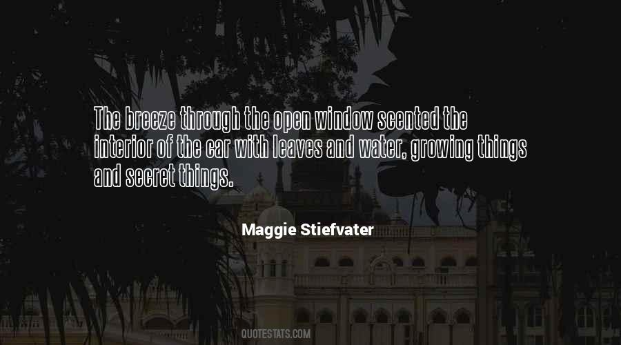 Window Open Quotes #588056