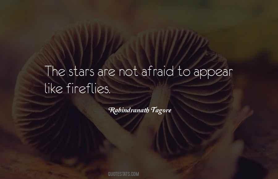 Stars And Fireflies Quotes #616930