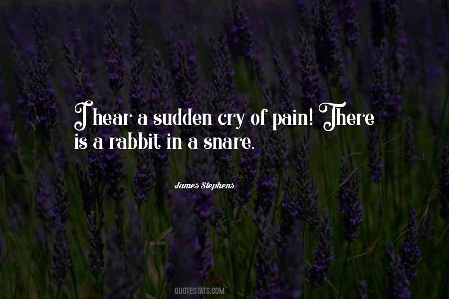Cry In Pain Quotes #689677