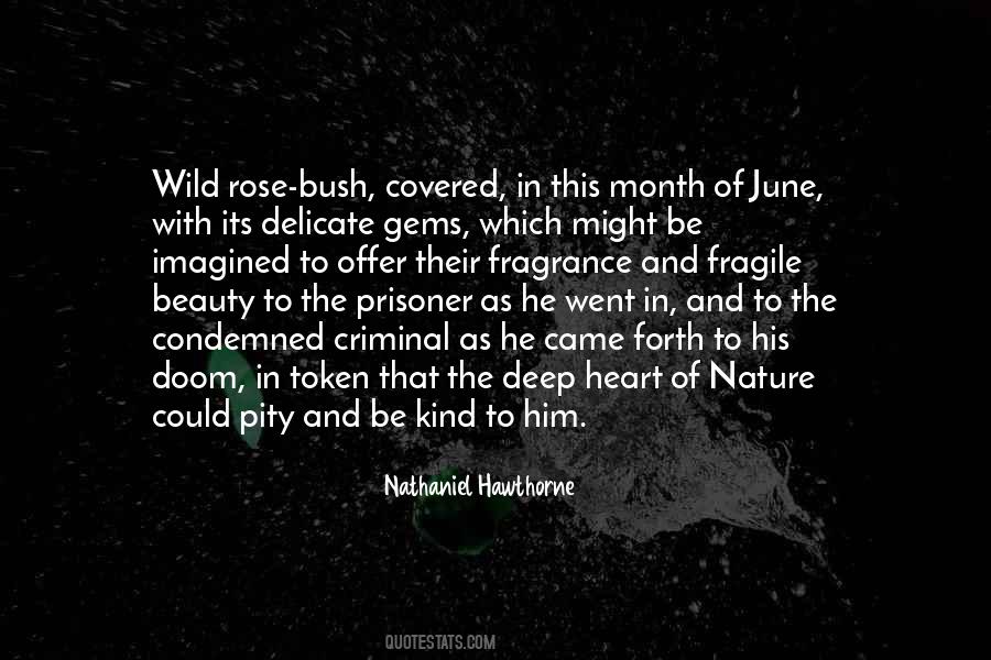 Nature Rose Quotes #832216