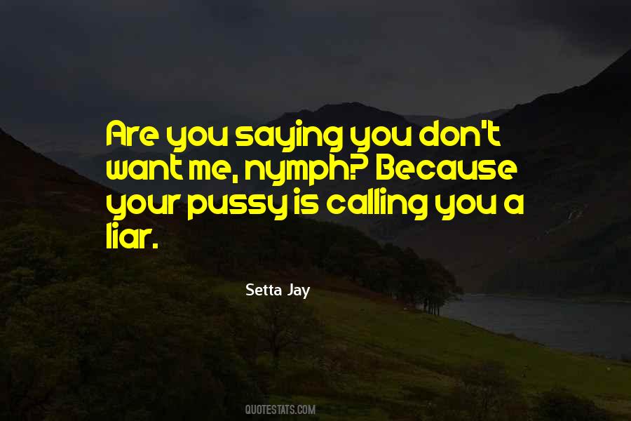 You Are A Liar Quotes #1480253
