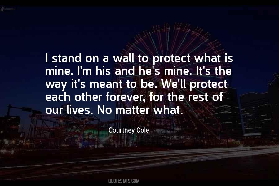 Meant To Be Forever Quotes #221612