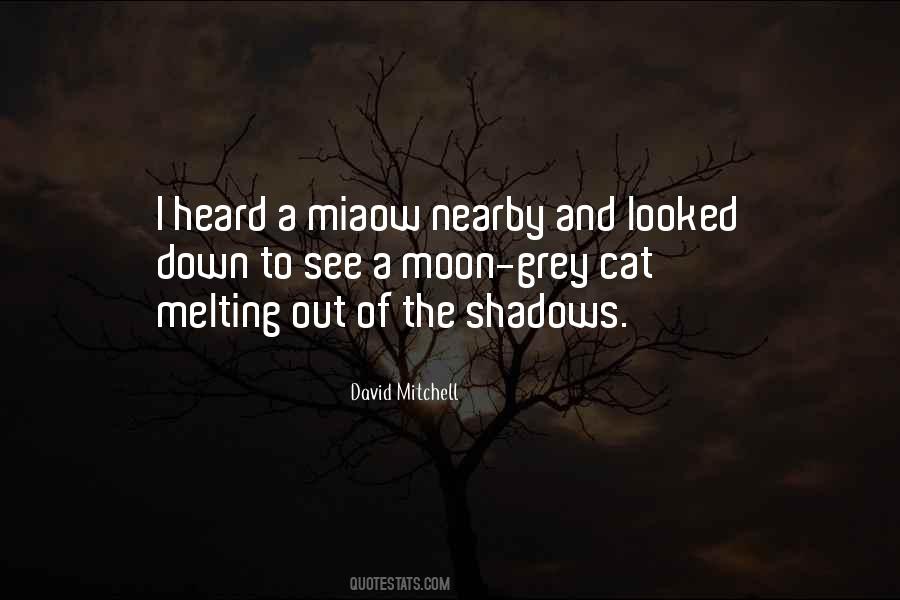 Out Of The Shadows Quotes #16919