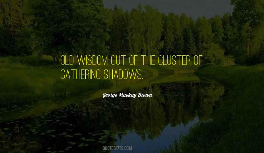Out Of The Shadows Quotes #440036