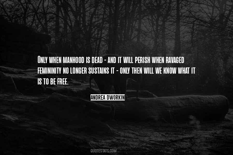 Dworkin Andrea Quotes #693330