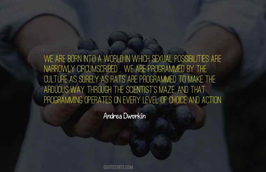 Dworkin Andrea Quotes #906737