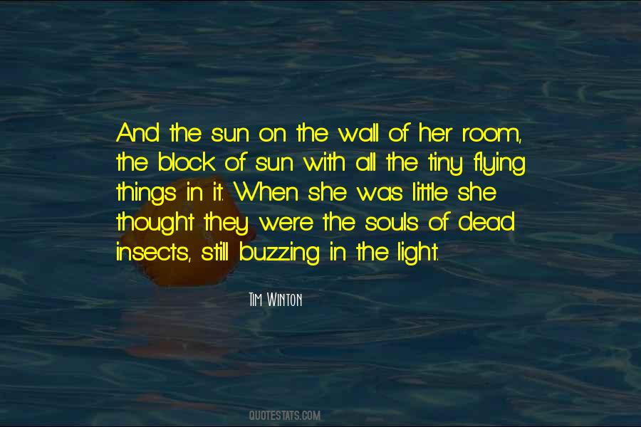Wall Light Quotes #1635036