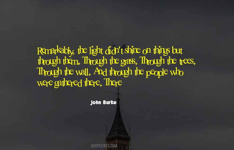 Wall Light Quotes #1683664
