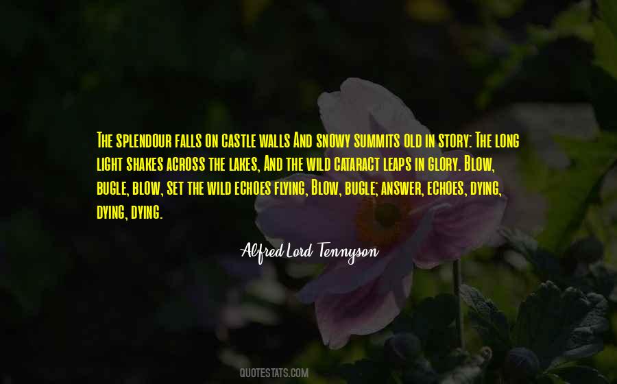 Wall Light Quotes #280114