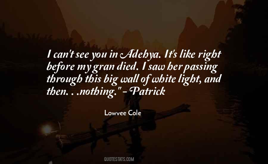 Wall Light Quotes #479165