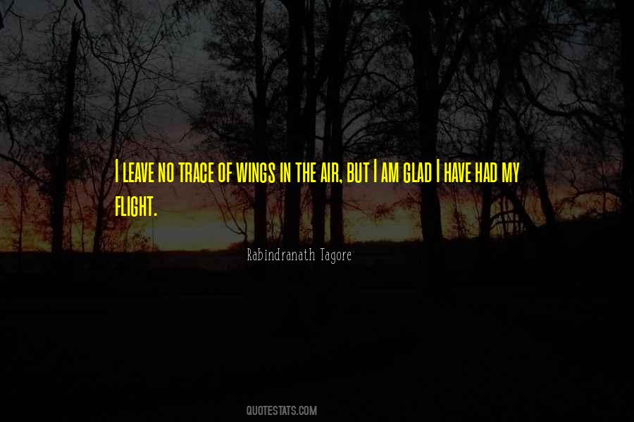 I Have Wings Quotes #883035