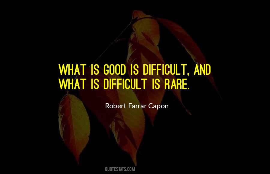 What Is Excellence Quotes #927602